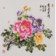 Peony - CNAG005921