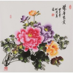 Peony - CNAG005922