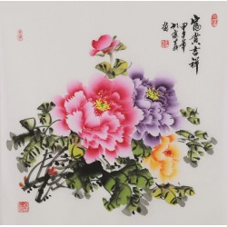 Peony - CNAG005923