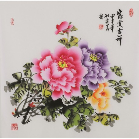 Peony - CNAG005923