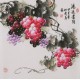Grapes - CNAG005925