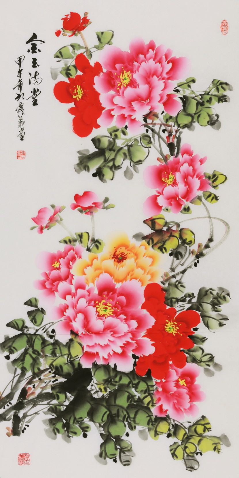 Peony - CNAG000593