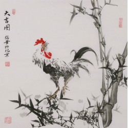 Chicken - CNAG005928