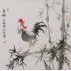 Chicken - CNAG005929