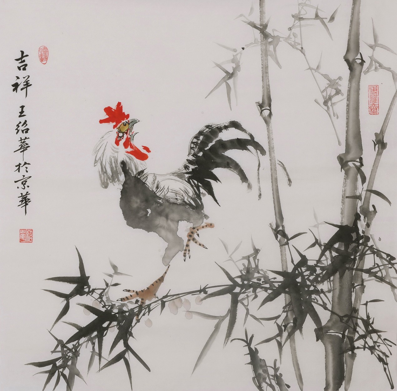 Chicken - CNAG005929