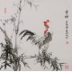 Chicken - CNAG005930