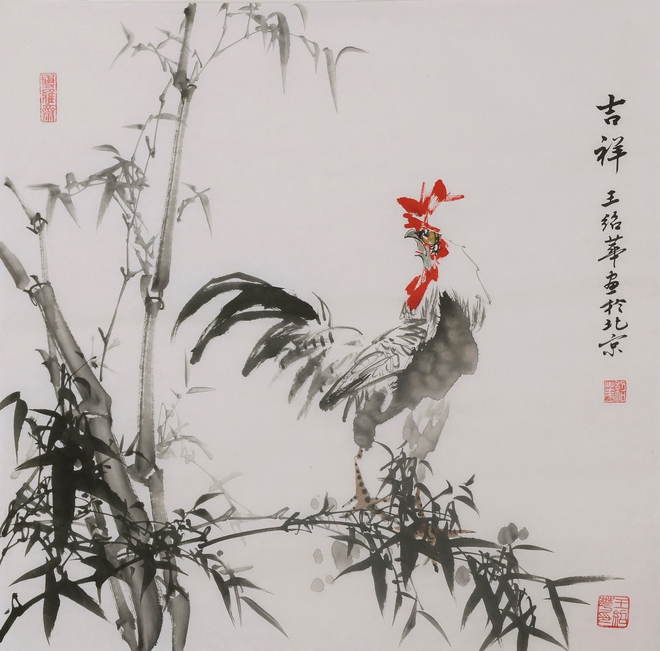 Chicken - CNAG005930