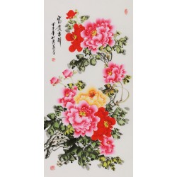 Peony - CNAG000594