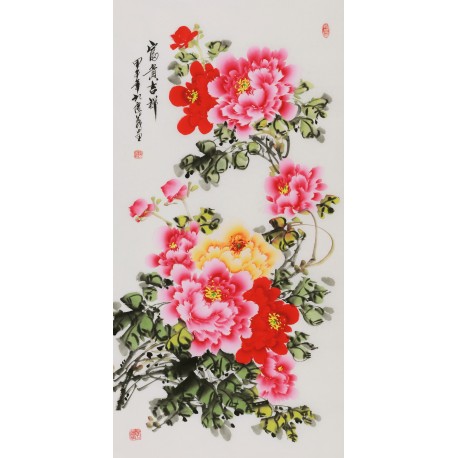Peony - CNAG000594