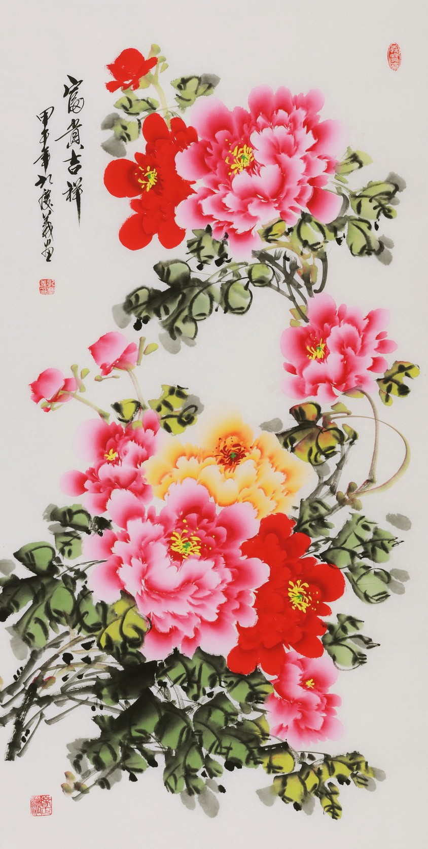 Peony - CNAG000594