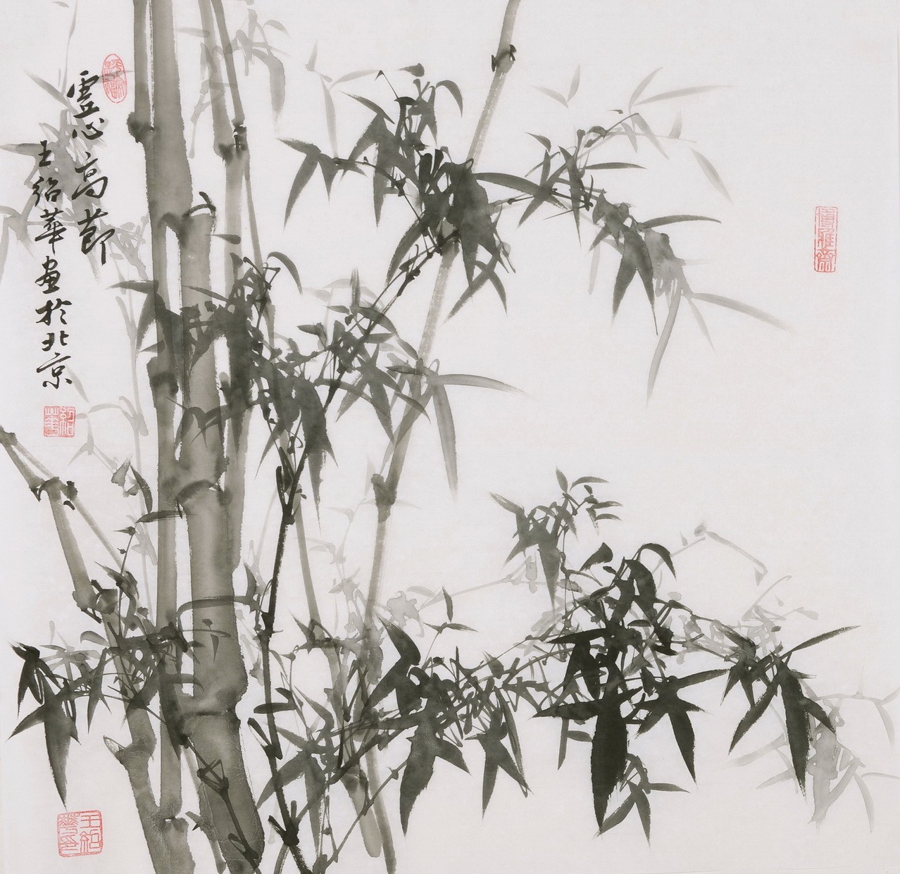Ink Bamboo - CNAG005937