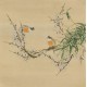 Plum - CNAG005942