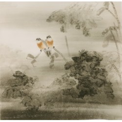 Lotus - CNAG005943