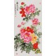 Peony - CNAG000595