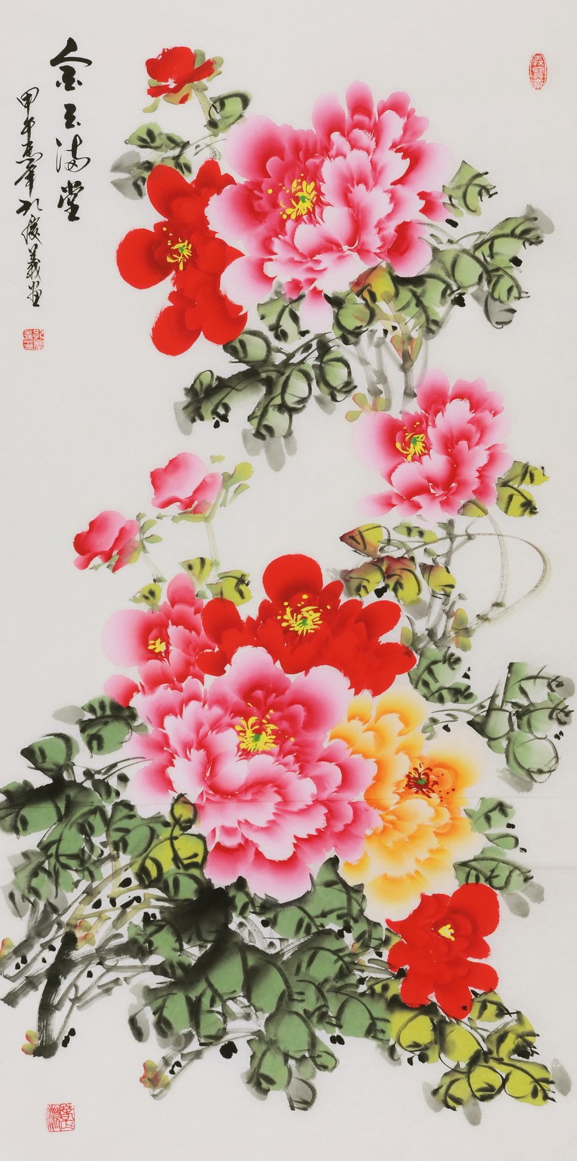 Peony - CNAG000595