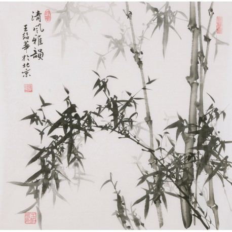 Ink Bamboo - CNAG005946