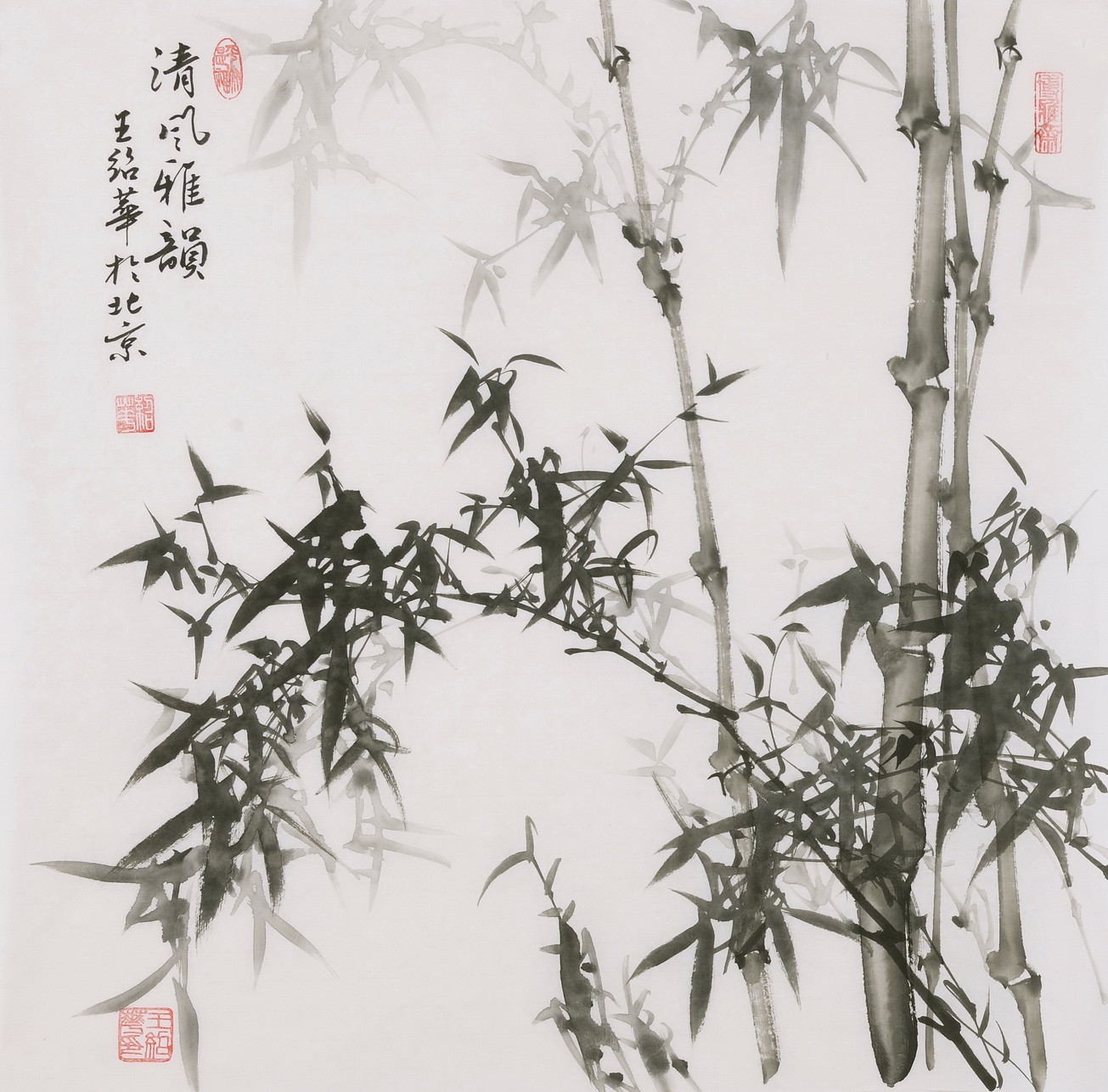 Ink Bamboo - CNAG005946