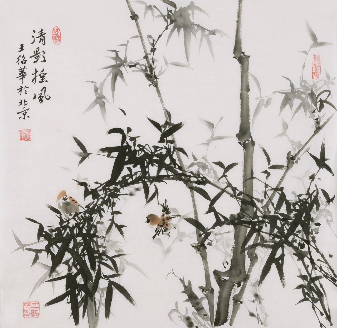 Ink Bamboo - CNAG005947