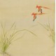 Paradise Flycatcher - CNAG005948