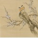 Plum - CNAG005955