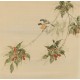 Peach Blossom - CNAG005963