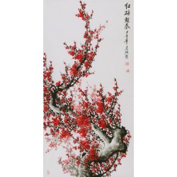 Plum - CNAG000597