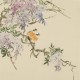 Wisteria - CNAG005966