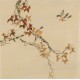 Other Birds - CNAG005970