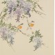 Wisteria - CNAG005974