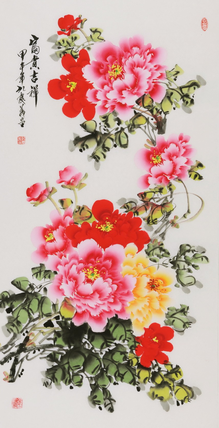 Peony - CNAG000598