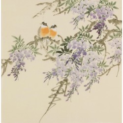 Wisteria - CNAG005976