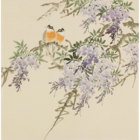 Wisteria - CNAG005976