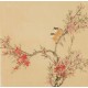 Peach Blossom - CNAG005978