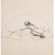 Other Birds - CNAG005985