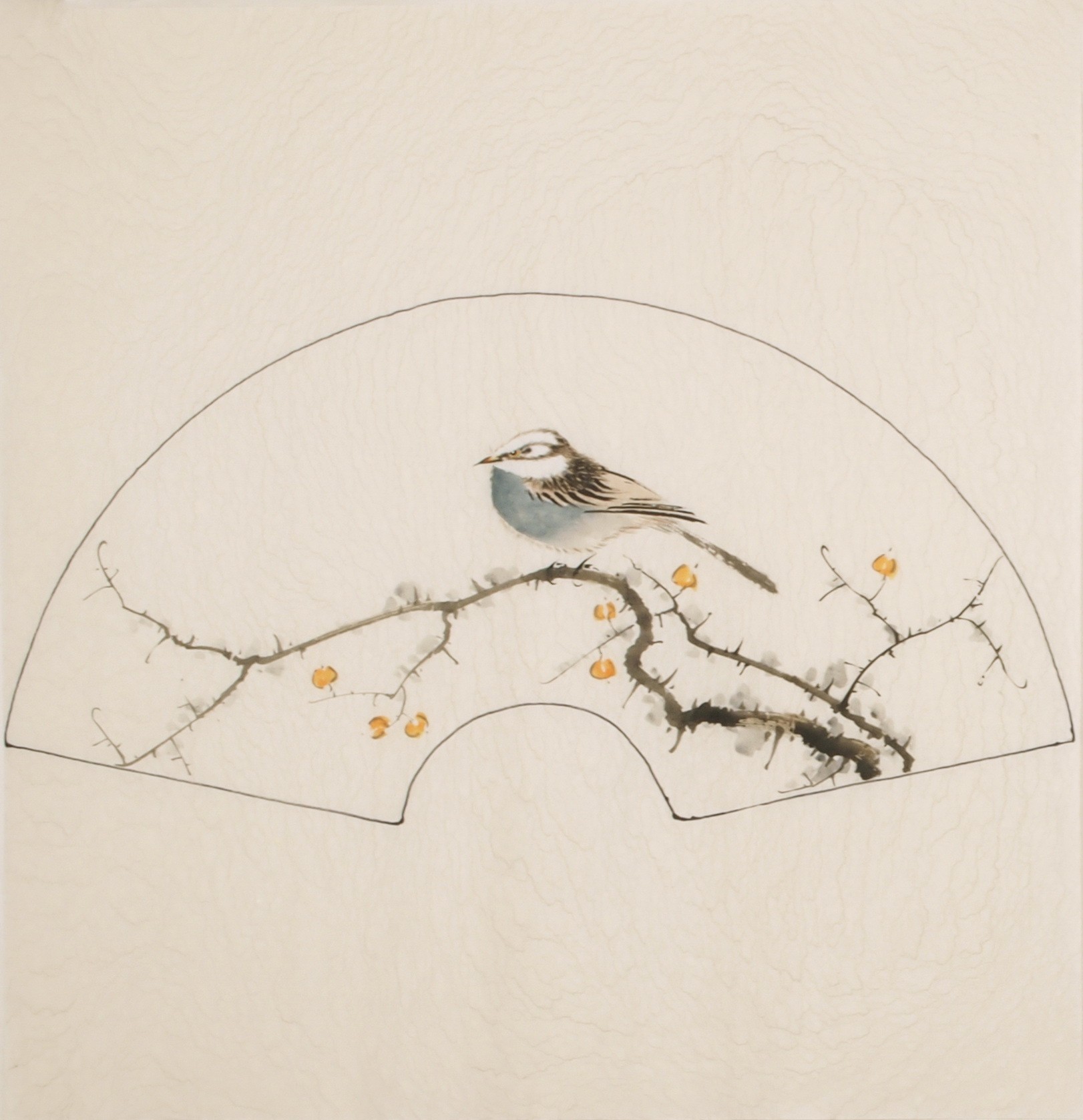 Other Birds - CNAG005985