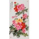 Peony - CNAG000599