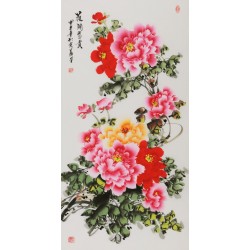 Peony - CNAG000599