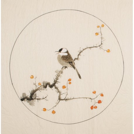 Other Birds - CNAG005986