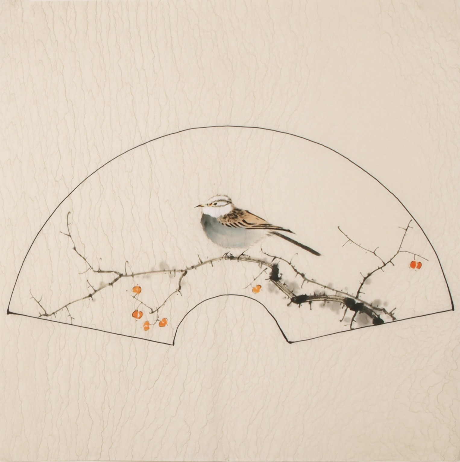 Other Birds - CNAG005987