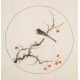 Other Birds - CNAG005988
