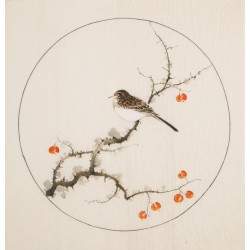 Other Birds - CNAG005988