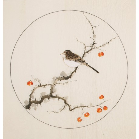 Other Birds - CNAG005988