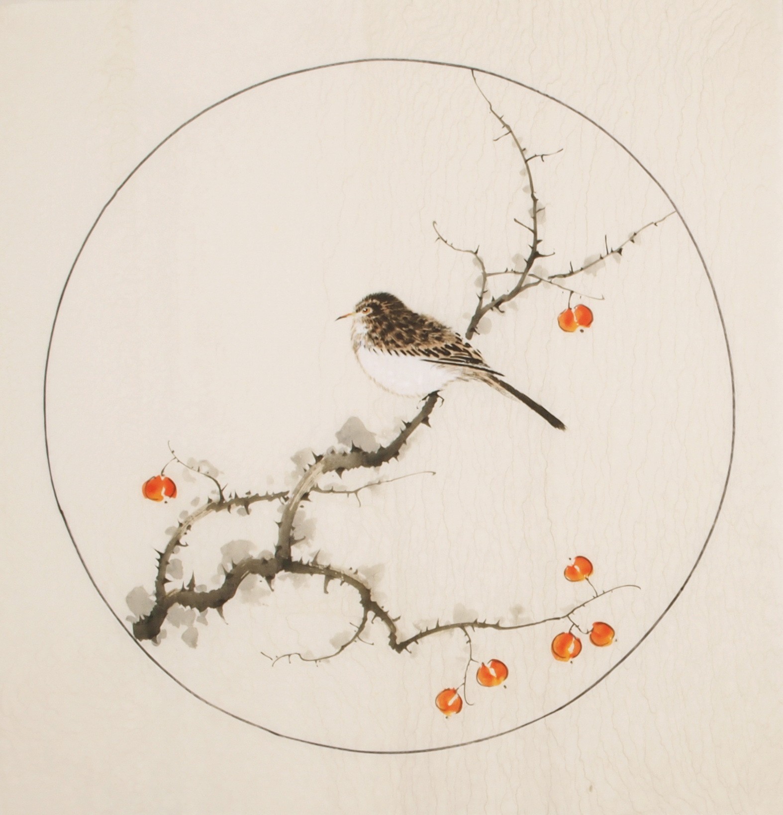 Other Birds - CNAG005988