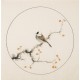 Other Birds - CNAG005989