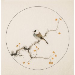 Other Birds - CNAG005989