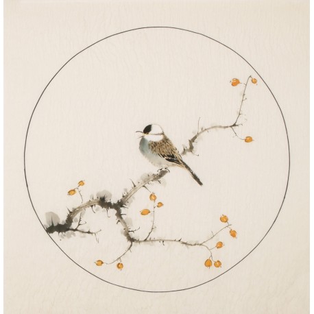 Other Birds - CNAG005989