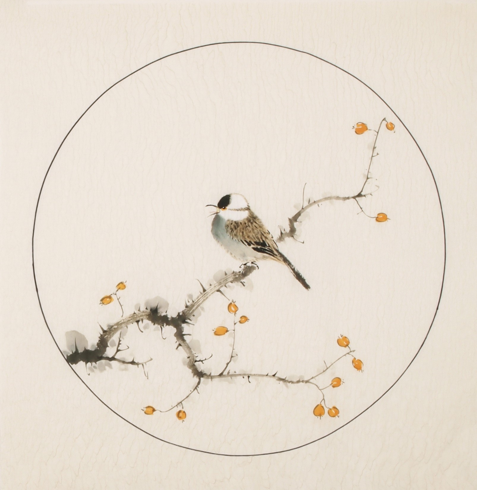 Other Birds - CNAG005989