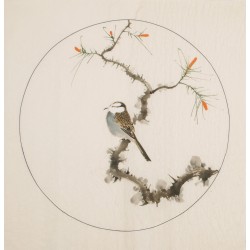 Other Birds - CNAG005993