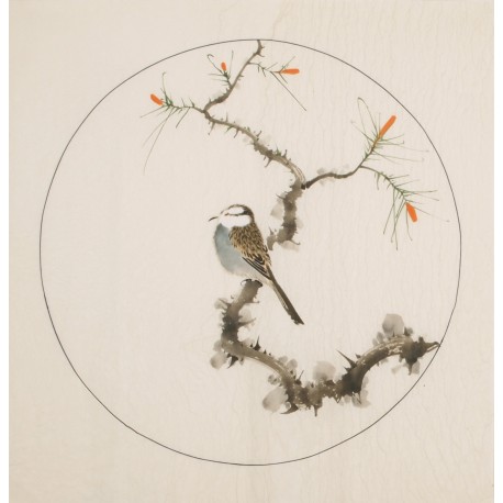 Other Birds - CNAG005993