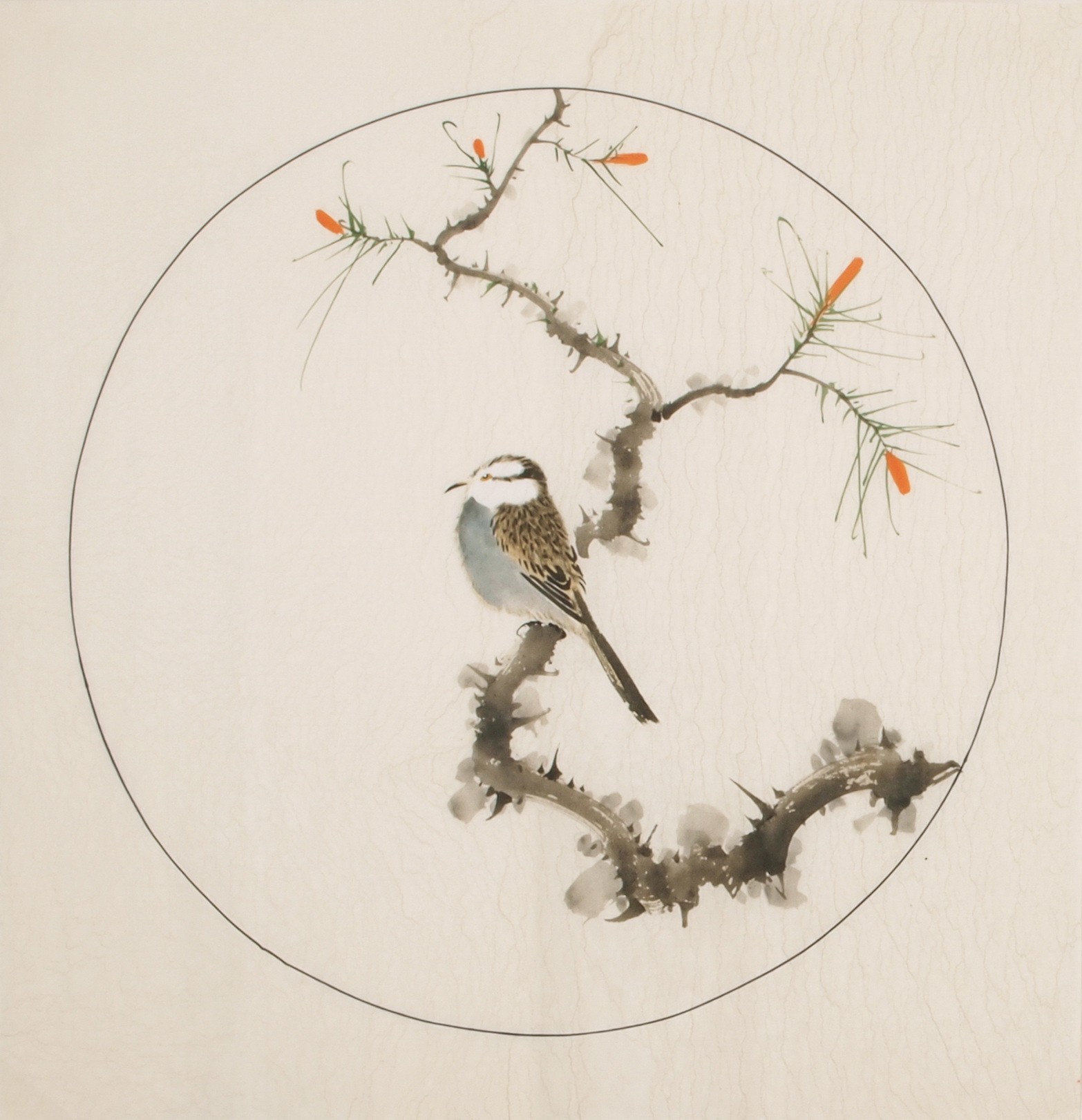 Other Birds - CNAG005993